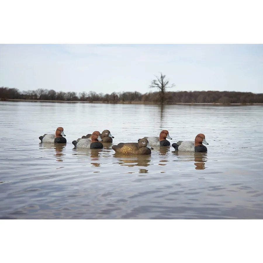 Higdon Outdoors Standard Red Head Duck Decoys Foam-Filled