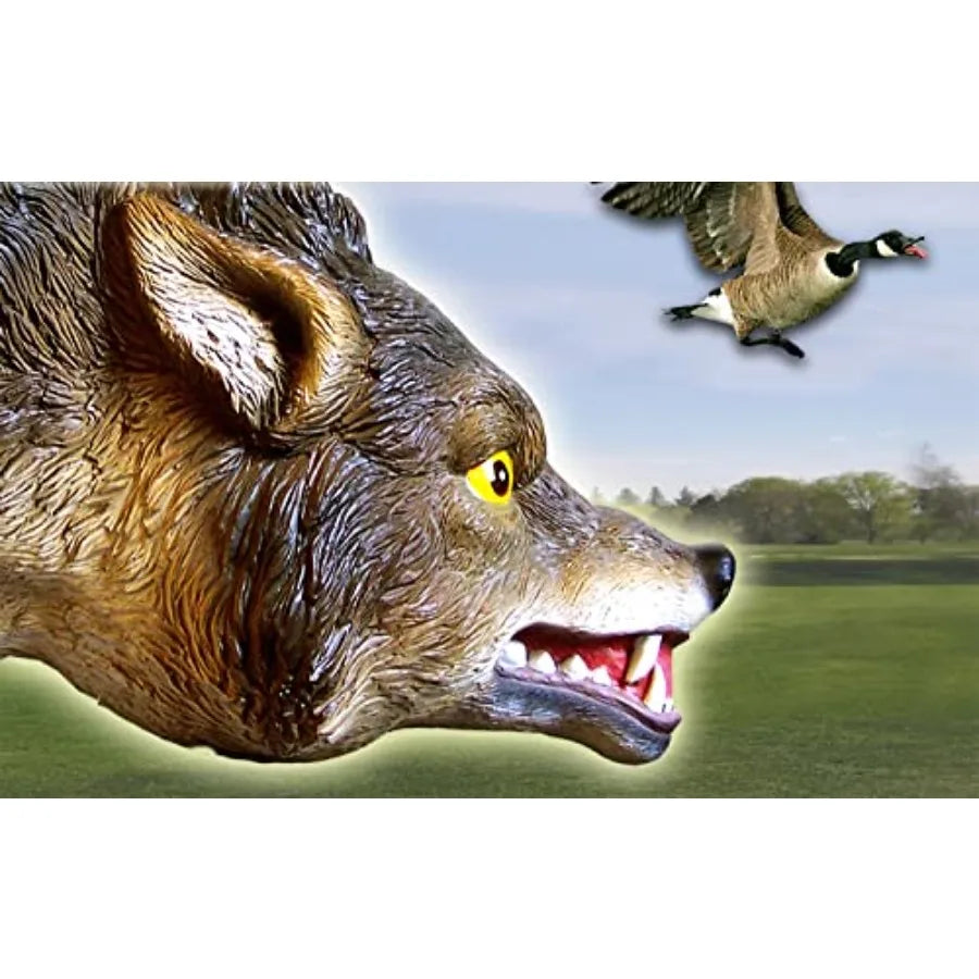 3D Coyote Decoy Lifelike Predator Replica Coyote Decoy with Moving Tail and Realistic Markings Easy to Install Covers up to 1 A
