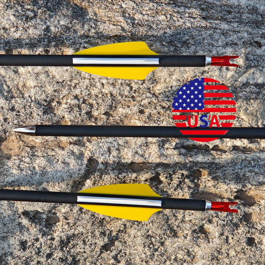 Mixed Carbon Arrows 12pcs Arrows SP1000 ID4.2mm Shaft 1.75" Rubber Vanes for Adults Bow Hunting Shooting Target Accessories