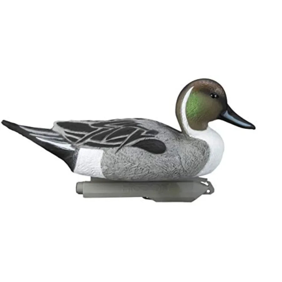 Higdon Outdoors Standard Pintail Floater Duck Decoys Ultra Realistic Drake and Hen Decoys for Waterfowl Hunting 3 Upright and 1