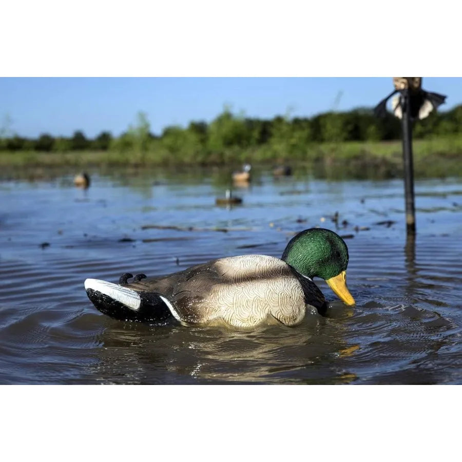MOJO Outdoors - Premium Waterfowl and Duck Hunting Decoys