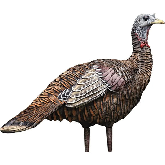 LCD Lookout Hen Turkey Decoy Durable Realistic Lifelike Collapsible Standing Hunting Decoy with Carry Bag and Stake AVX8006