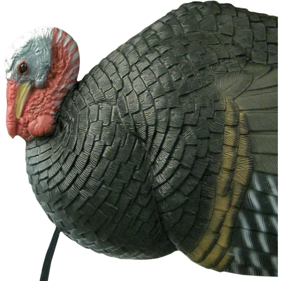 Primos Hunting Killer B Full Strut Turkey Decoy Moveable Fan 90 ft Pull Rope and Iridescent Colors Gives Lifelike Appearance Li
