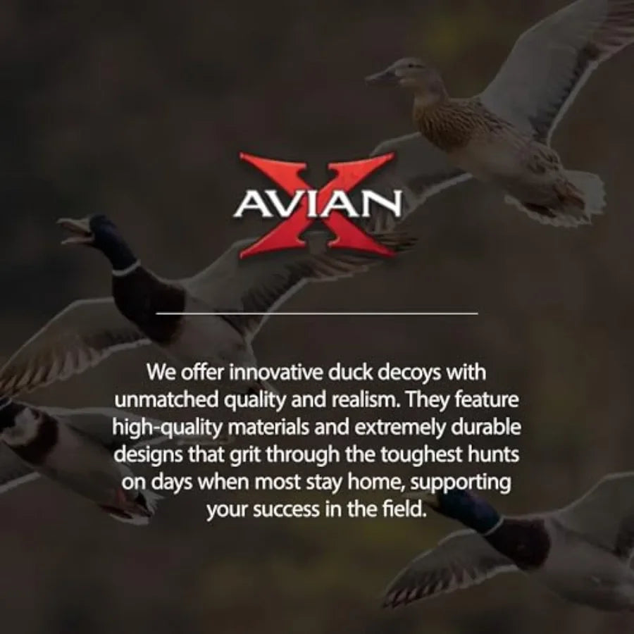 Avian X Power Flight Green Wing Teal Motion Duck Decoy