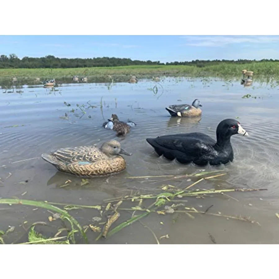 MOJO Outdoors Coot Confidence Decoys for Duck Hunting Increases Realism and Entices Ducks to Land Pack of 6