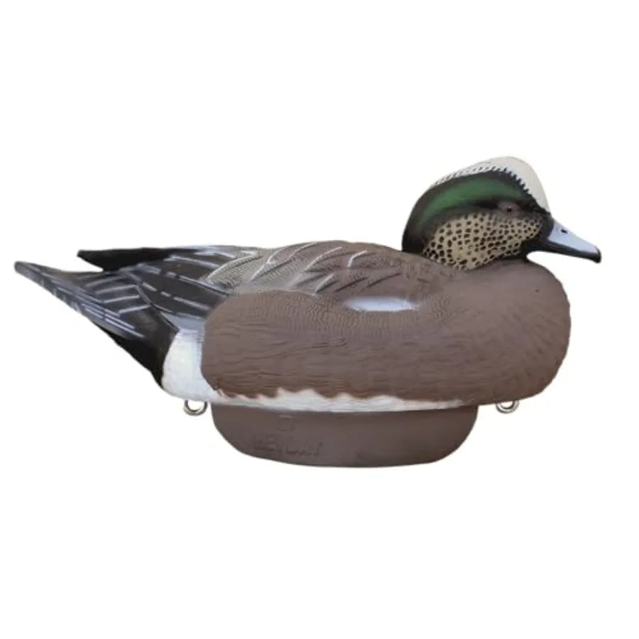 Wigeon Duck Decoys by Heyday Ultra-Light 100% HydroFoam Durable Realistic Design 6 Pack of Duck Hunting Decoys