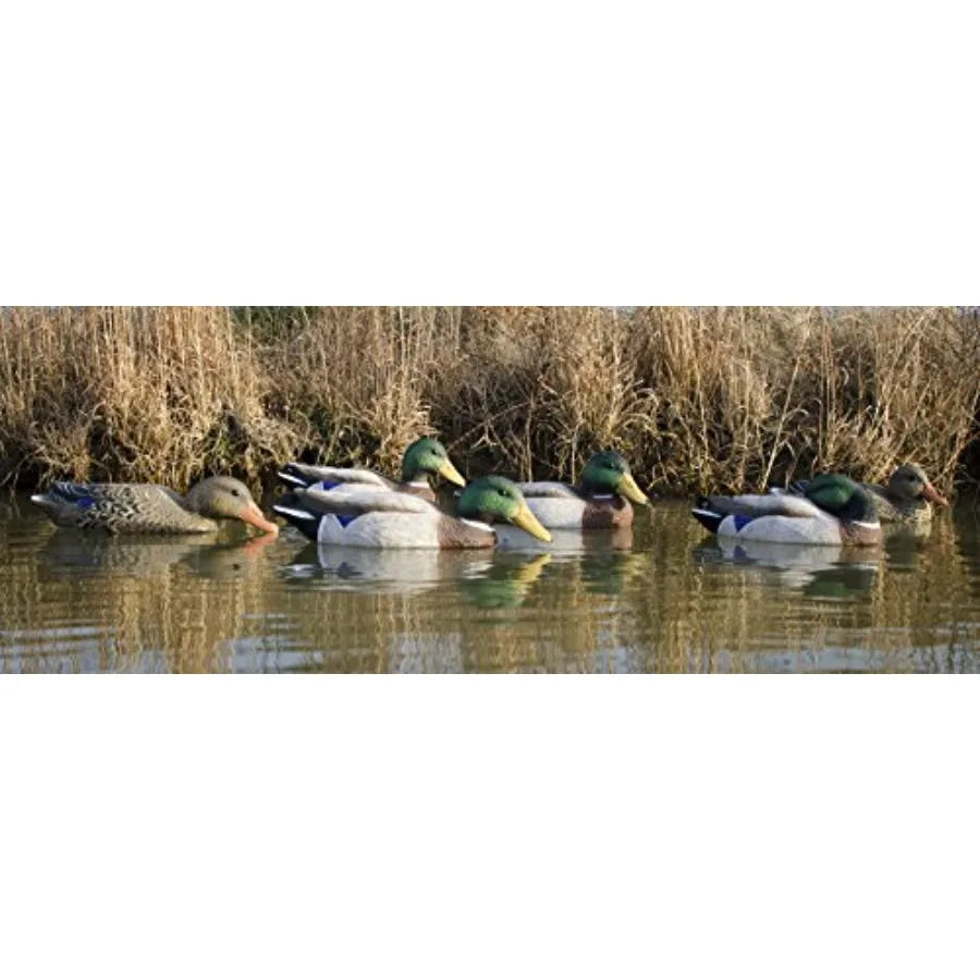 Higdon Outdoors Full Size Mallard Duck Floater Decoys One Peice Design Weighted Keel with Multiple Postures and UV Paint Realis