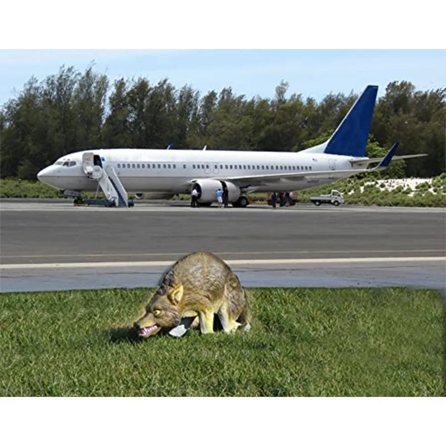 3D Coyote Decoy Lifelike Predator Replica Coyote Decoy with Moving Tail and Realistic Markings Easy to Install Covers up to 1 A