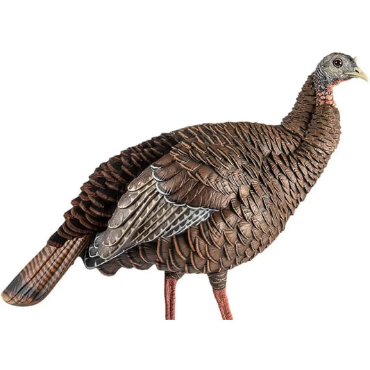 Avian-X HDR Hen Turkey Decoy Durable Realistic Lifelike Standing Hunting Decoy with 2 Removable Heads Carry Bag and Integrated