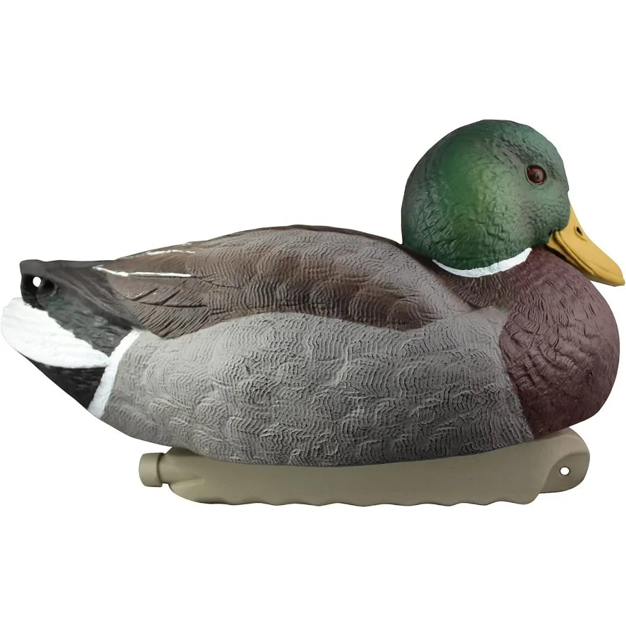 Cupped Waterfowl Duck Decoys Extremely Realistic 6-Pack of Duck Floater Decoys with Weighted Keels Great for Waterfowl Hunting
