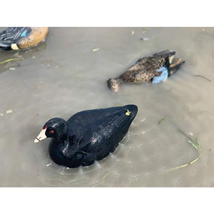 MOJO Outdoors Coot Confidence Decoys for Duck Hunting Increases Realism and Entices Ducks to Land Pack of 6