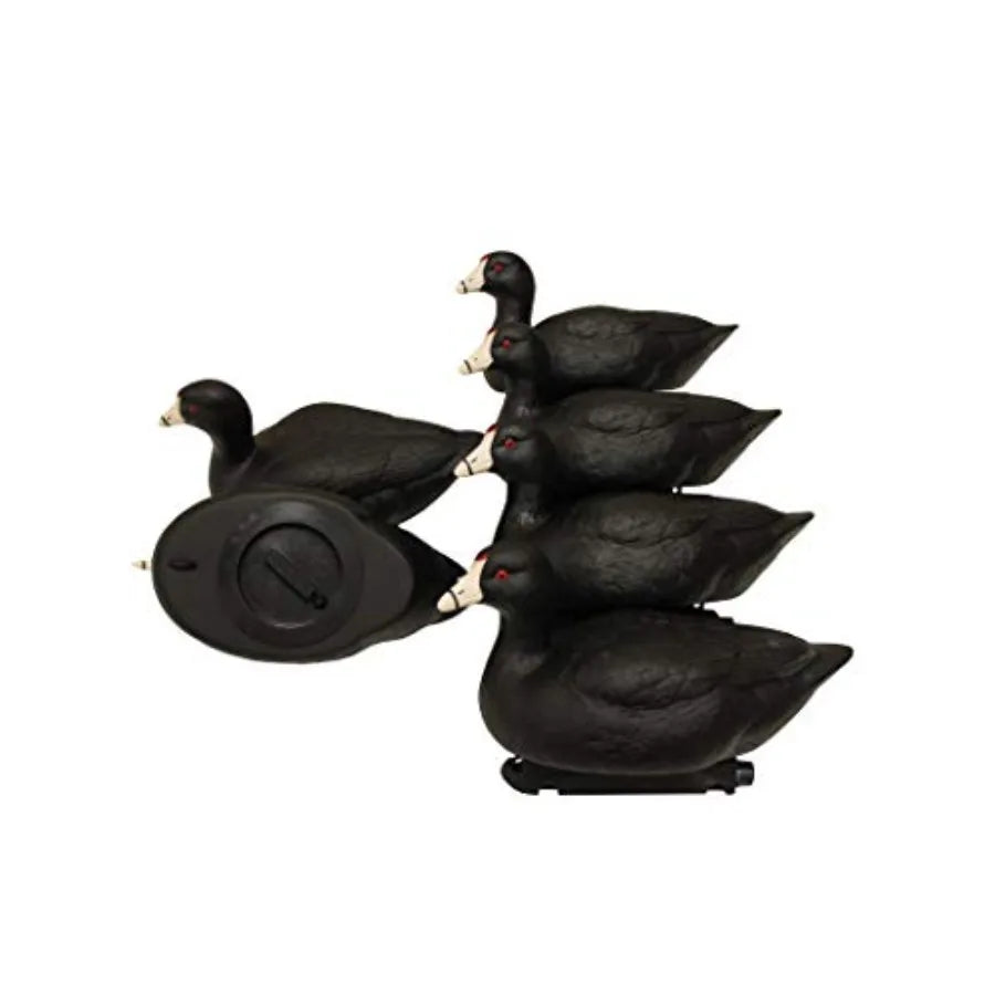 MOJO Outdoors Coot Confidence Decoys for Duck Hunting Increases Realism and Entices Ducks to Land Pack of 6