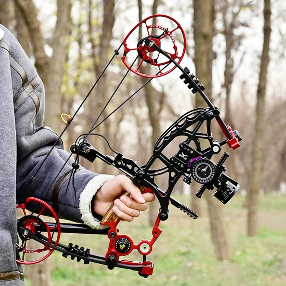 New Fiery Compound Bow Pulley Bow Adult Outdoor Archery Steel Ball and Arrow Dual-purpose Adult Bow High Precision Shooting