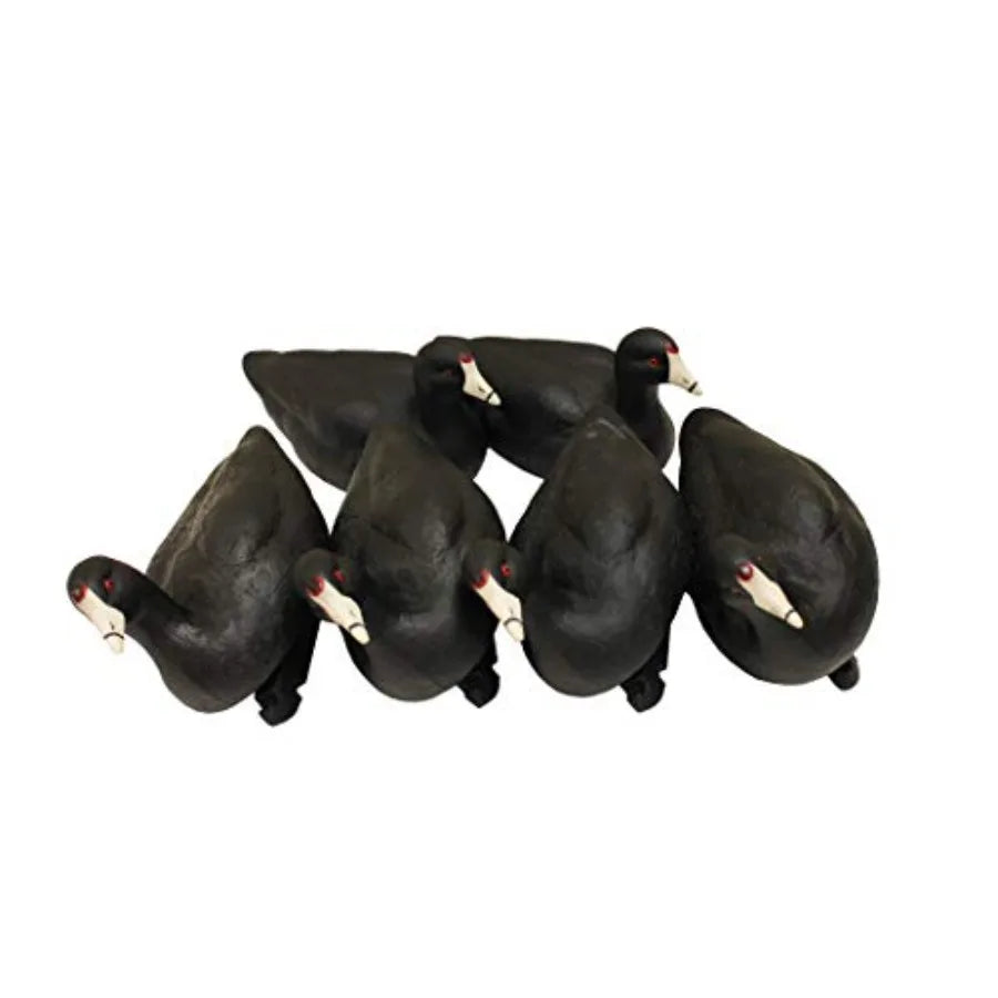 MOJO Outdoors Coot Confidence Decoys for Duck Hunting Increases Realism and Entices Ducks to Land Pack of 6