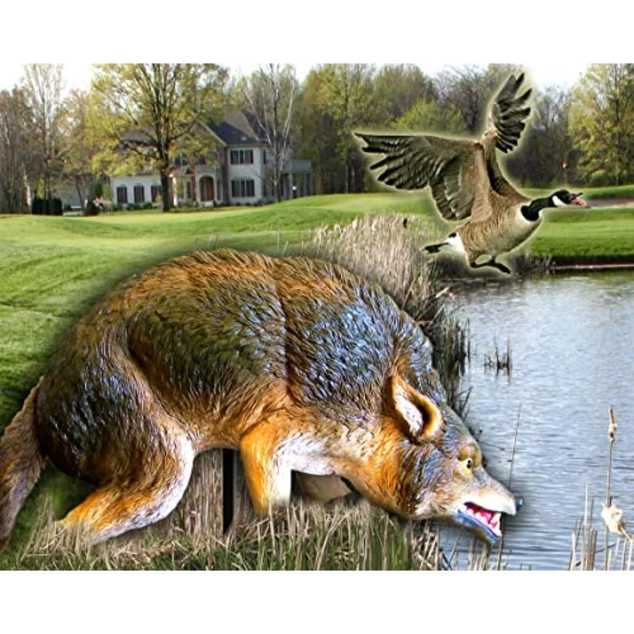 3D Coyote Decoy Lifelike Predator Replica Coyote Decoy with Moving Tail and Realistic Markings Easy to Install Covers up to 1 A