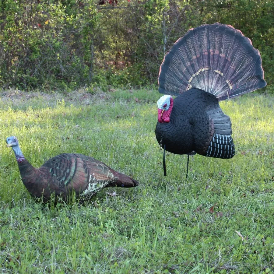 Primos Hunting Killer B Full Strut Turkey Decoy Moveable Fan 90 ft Pull Rope and Iridescent Colors Gives Lifelike Appearance Li