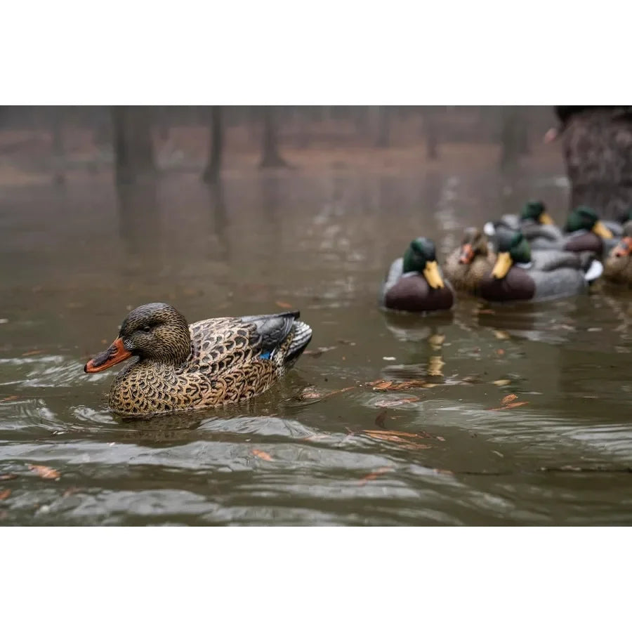 Cupped Waterfowl Duck Decoys Extremely Realistic 6-Pack of Duck Floater Decoys with Weighted Keels Great for Waterfowl Hunting