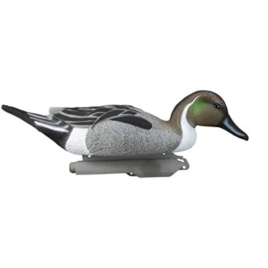 Higdon Outdoors Standard Pintail Floater Duck Decoys Ultra Realistic Drake and Hen Decoys for Waterfowl Hunting 3 Upright and 1